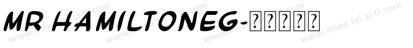 mr HamiltoneG字体转换